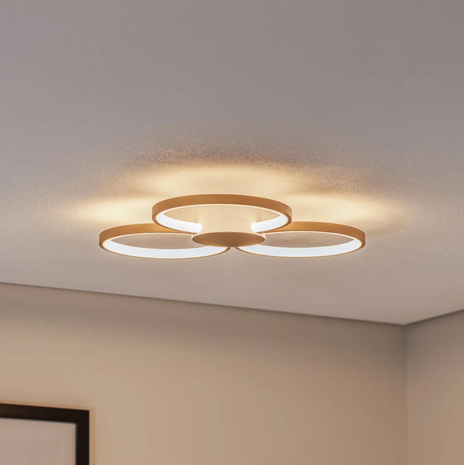 BEGA LED-Deckenleuchte 51299.4, samtmessing, Metall, DALI