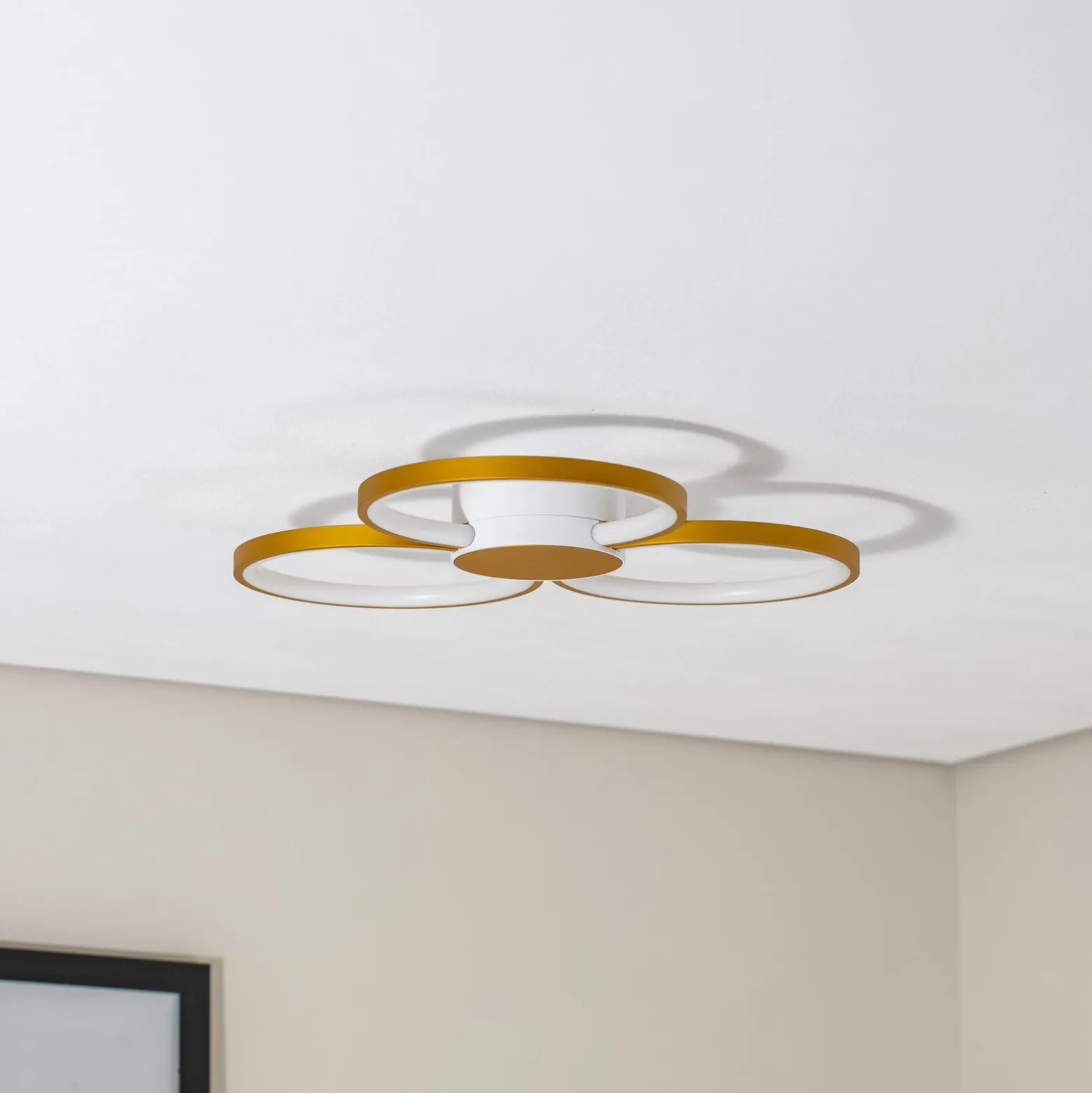 BEGA LED-Deckenleuchte 51299.4, samtmessing, Metall, DALI