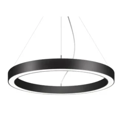 BRUMBERG Biro Circle Ring10 Ø45cm up/down DALI schwarz 3000K