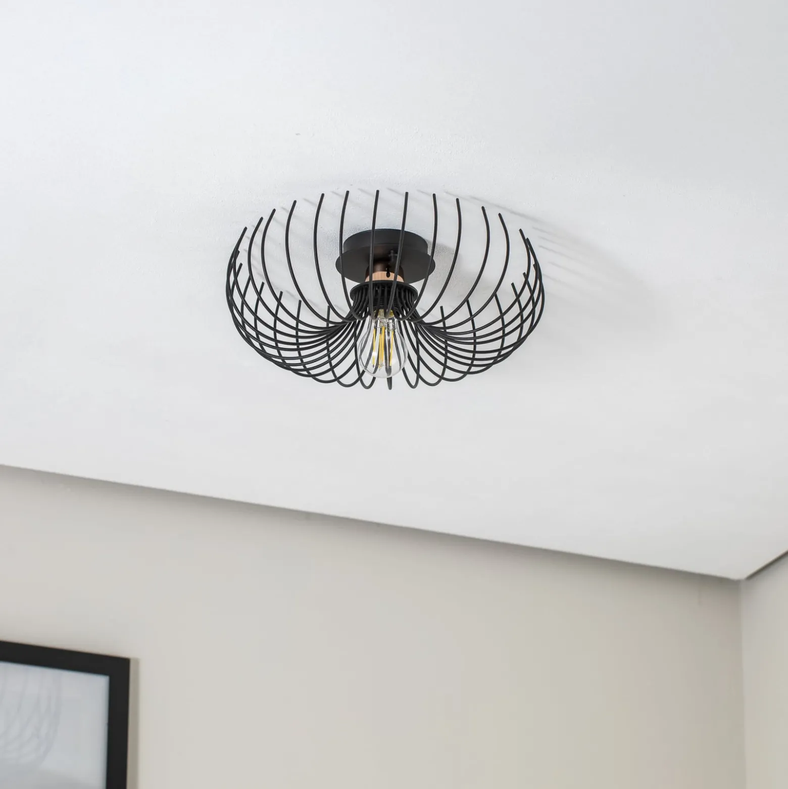 Deckenleuchte Aspendos N-641, schwarz, Metall, Ø 36 cm