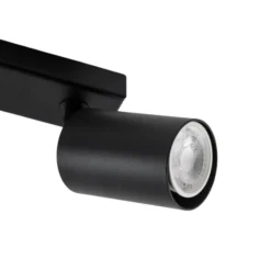 Deckenstrahler Zoom, 2-flammig, schwarz