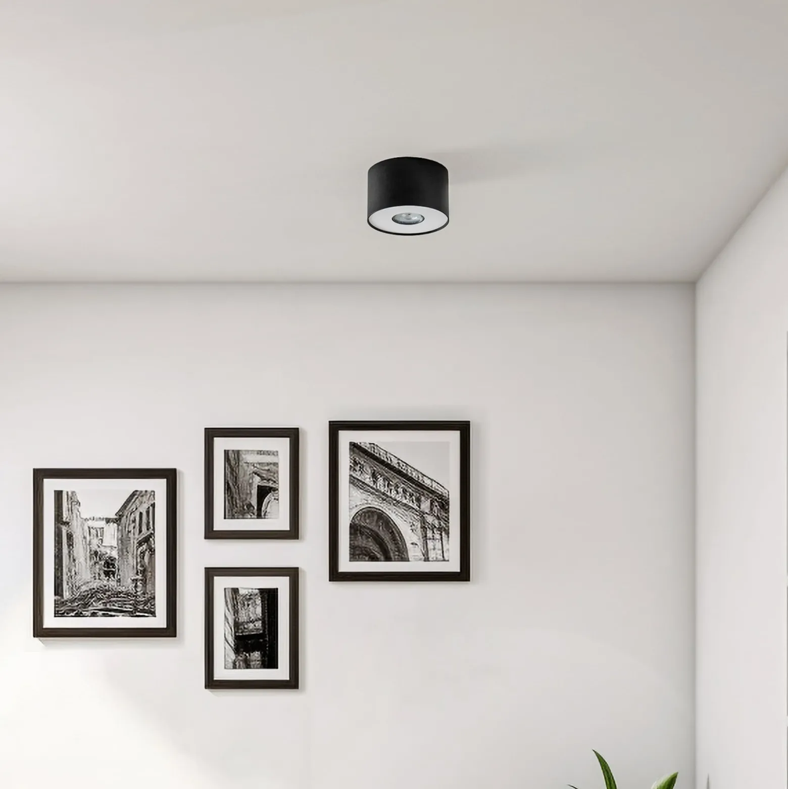 Downlight Point S, schwarz/weiß/schwarz