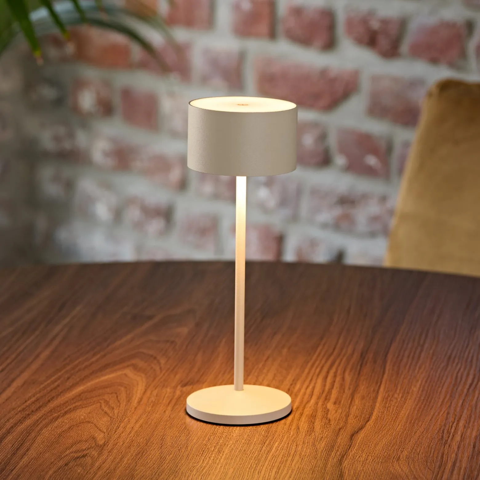 LED-Akku-Tischlampe Veluna, beige, Höhe 25 cm, IP44, dim CCT