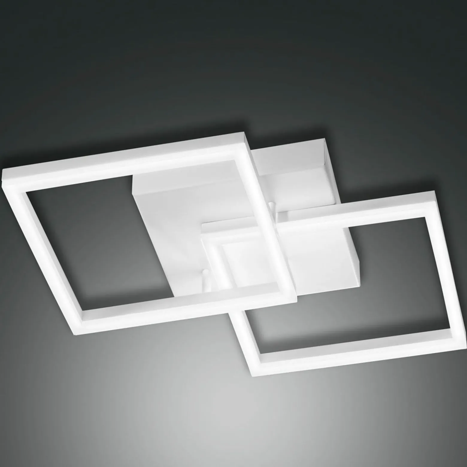 LED-Deckenlampe Bard 2-flg.
