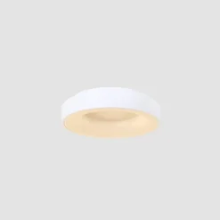 LED-Deckenleuchte Ringlede, 2.700 K, Ø 30 cm, weiß, Metall