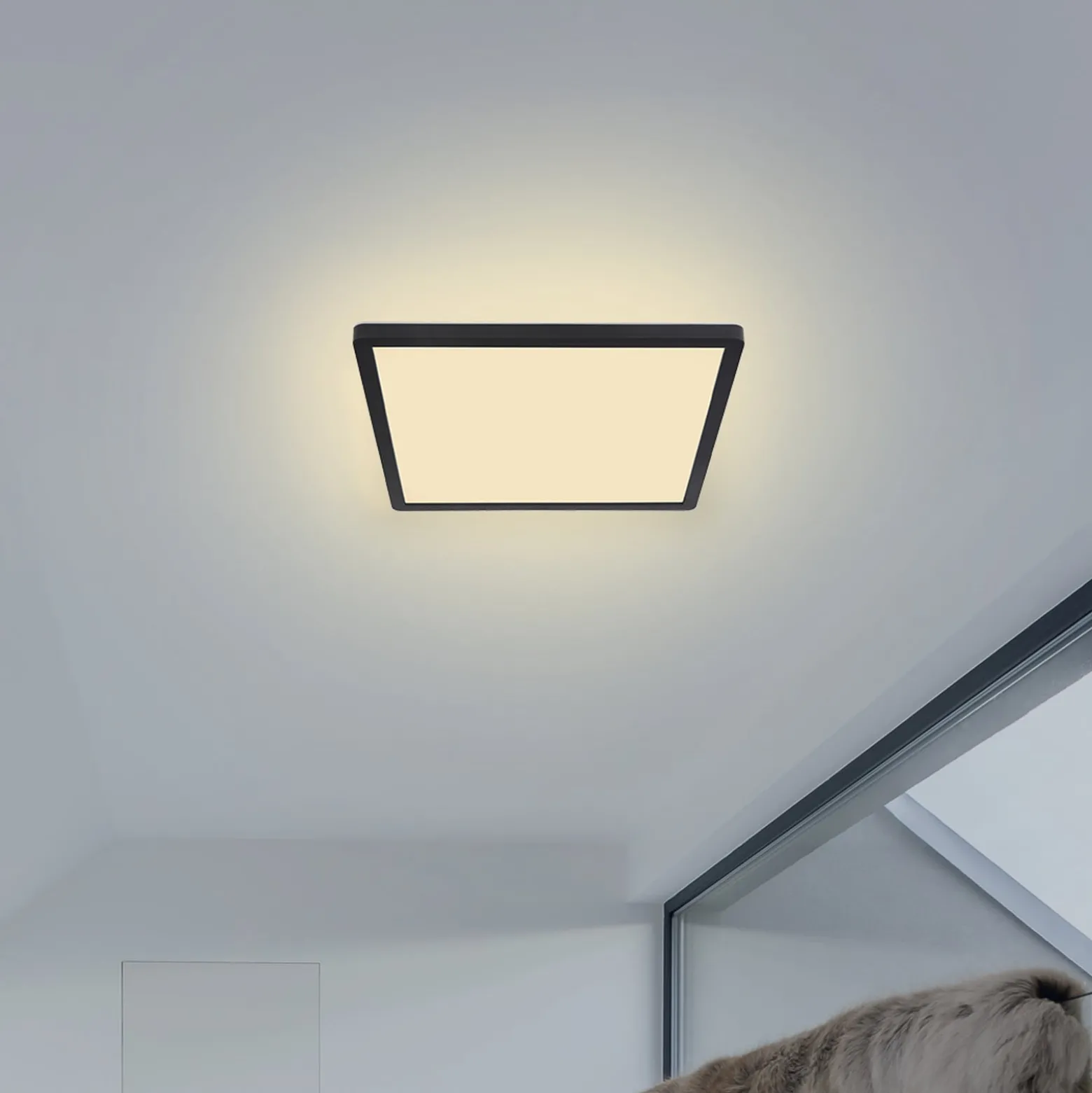 LED-Deckenleuchte Sapana, eckig, dimmbar, schwarz