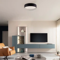 LED-Deckenleuchte TAVOLI, schwarz, Ø 29 cm, Metall, CCT, dim