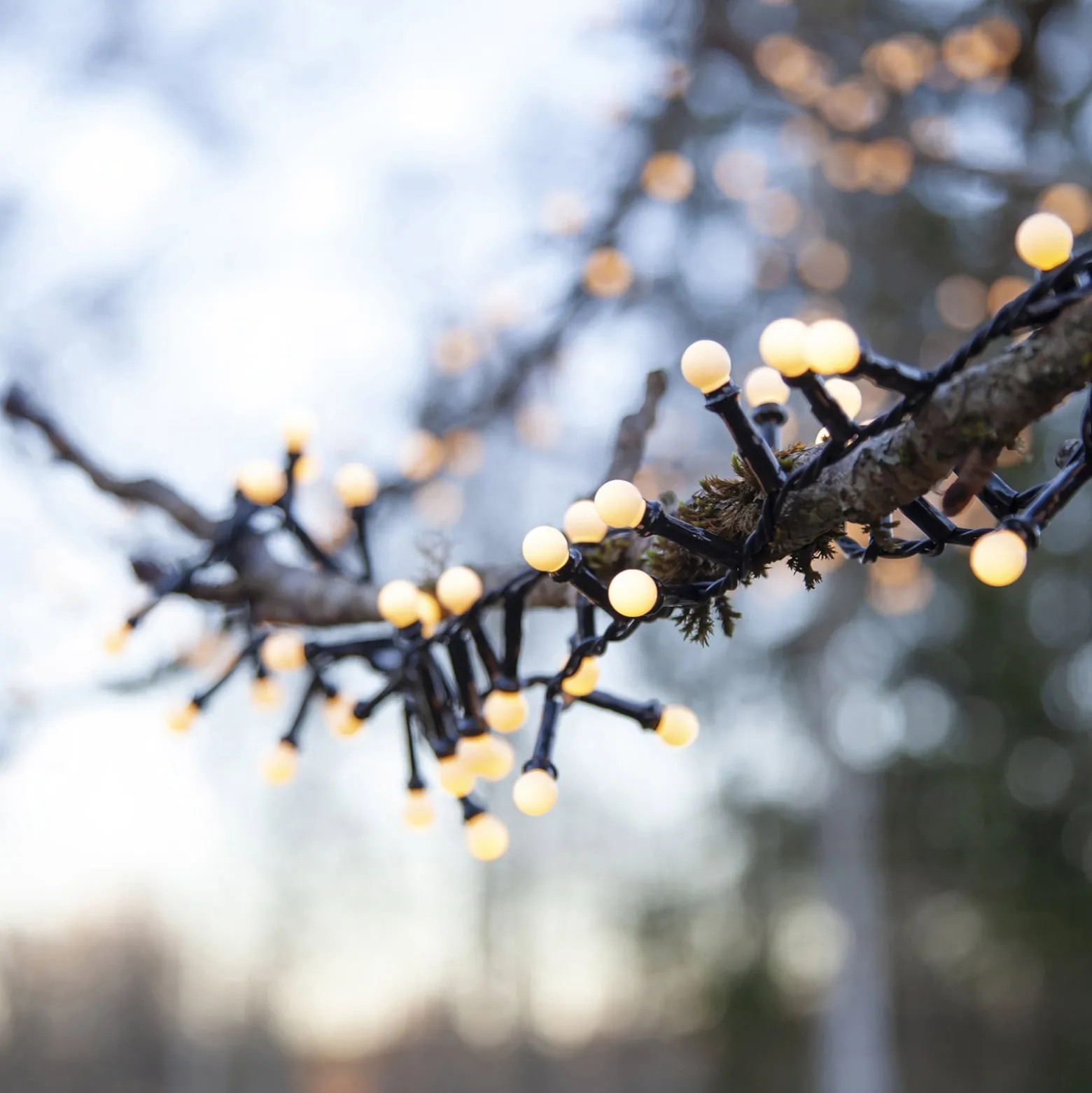 LED-Lichterkette Berry Mini mit Timerfunktion weiß