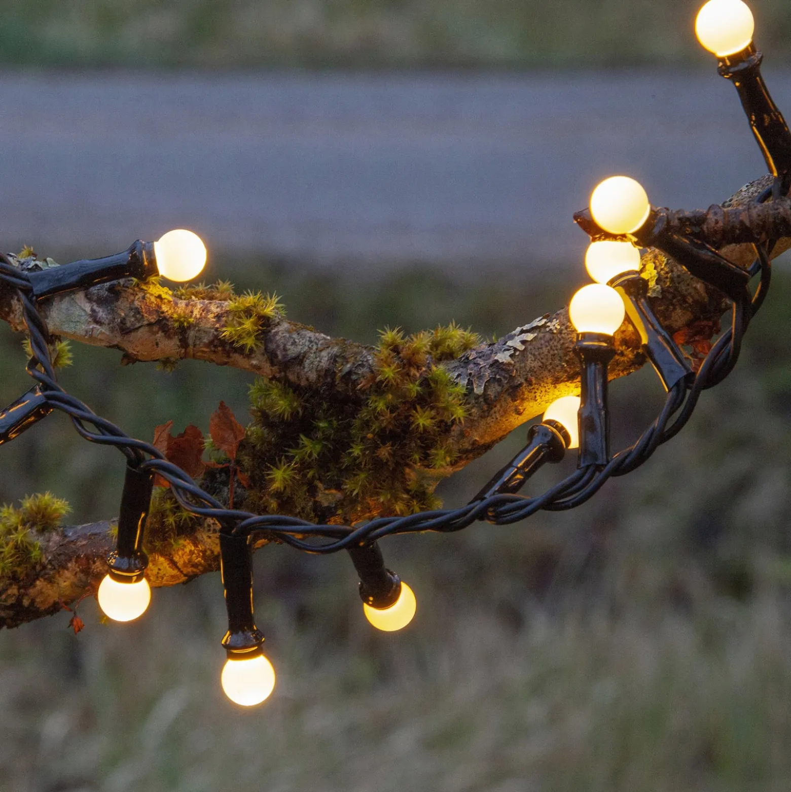 LED-Lichterkette Berry Mini mit Timerfunktion weiß