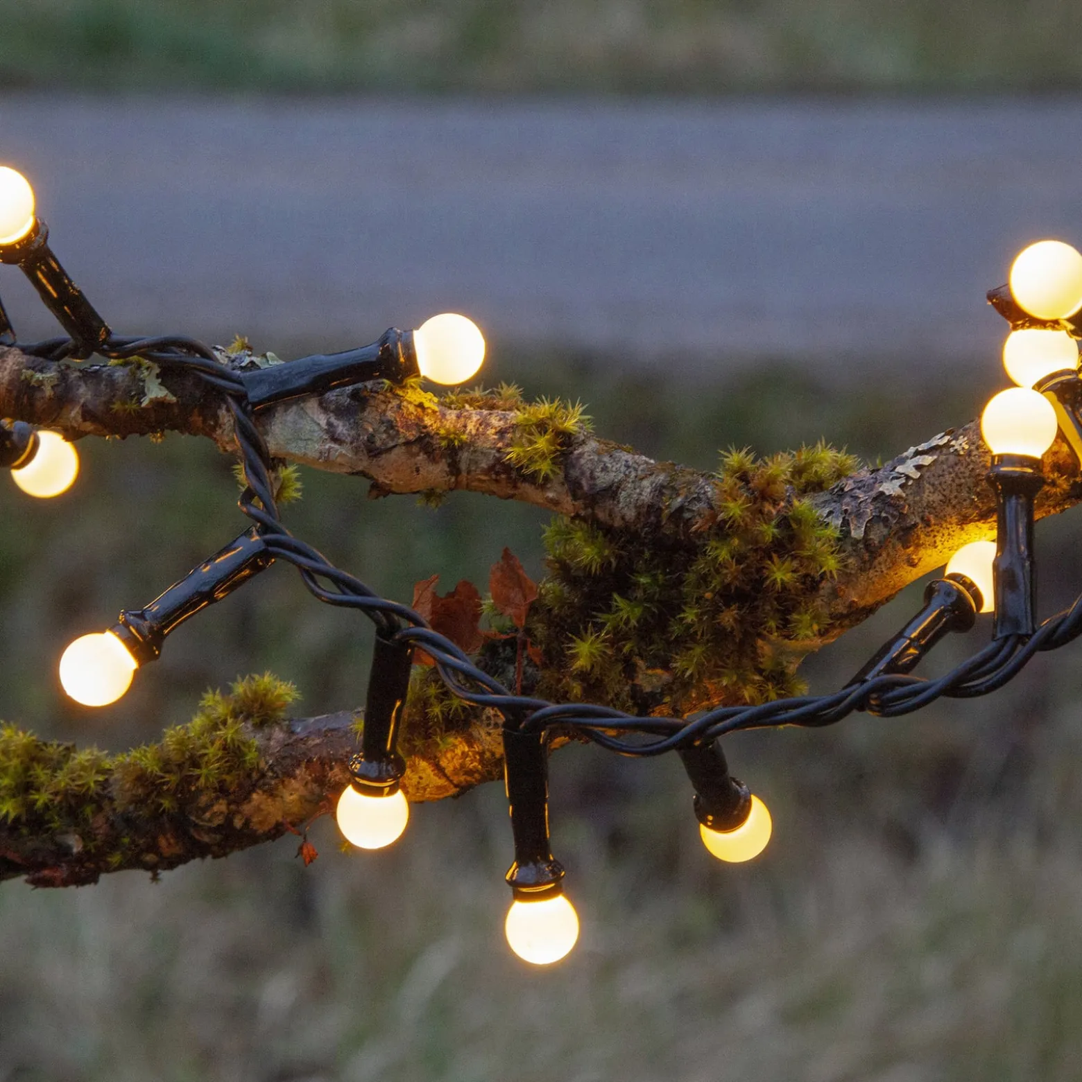 LED-Lichterkette Berry Mini mit Timerfunktion weiß
