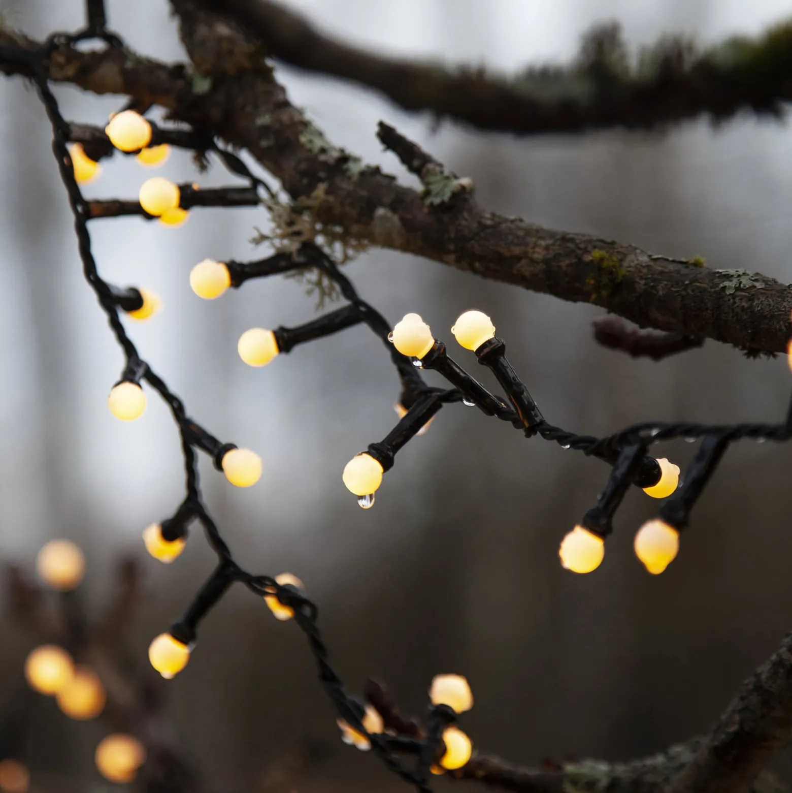 LED-Lichterkette Berry Mini mit Timerfunktion weiß