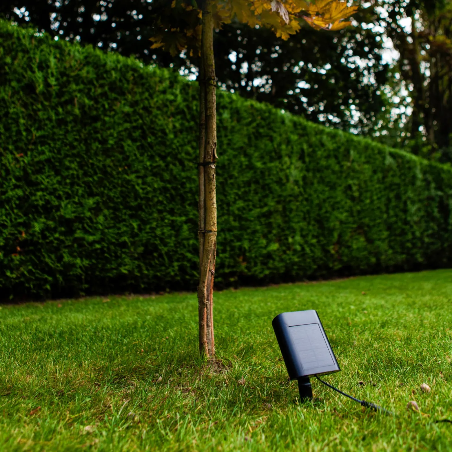 LED-Solar-Erdspießstrahler BINGO, schwarz, 16 cm Sensor IP54