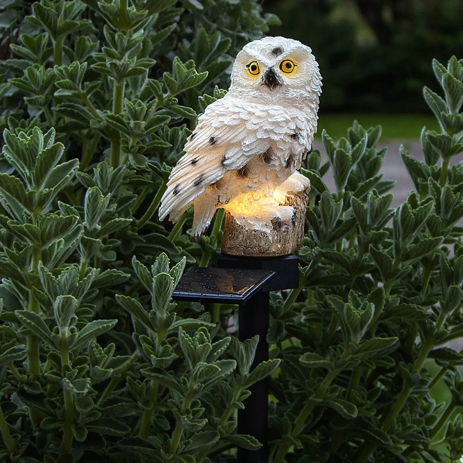 LED-Solarleuchte Owl mit Erdspieß
