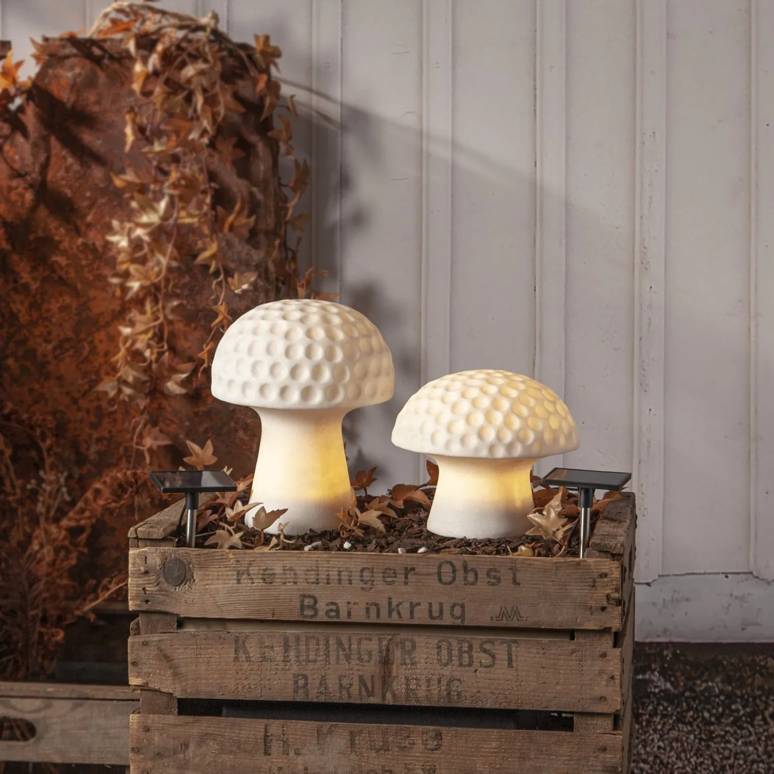 LED-Solarleuchte Sandy, 24 cm, weiß, Kunststoff, Pilzform