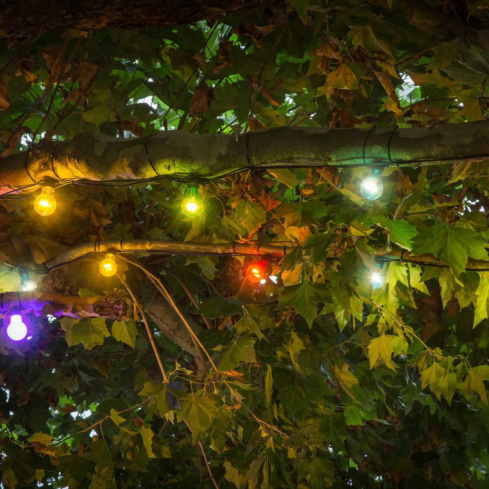 Lichterkette Biergarten 10 bunte LED-Birnen