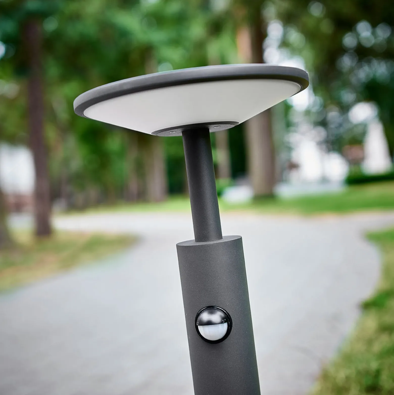 Lucande LED-Wegeleuchte Fenia, 60cm, Sensor, IP54, anthrazit