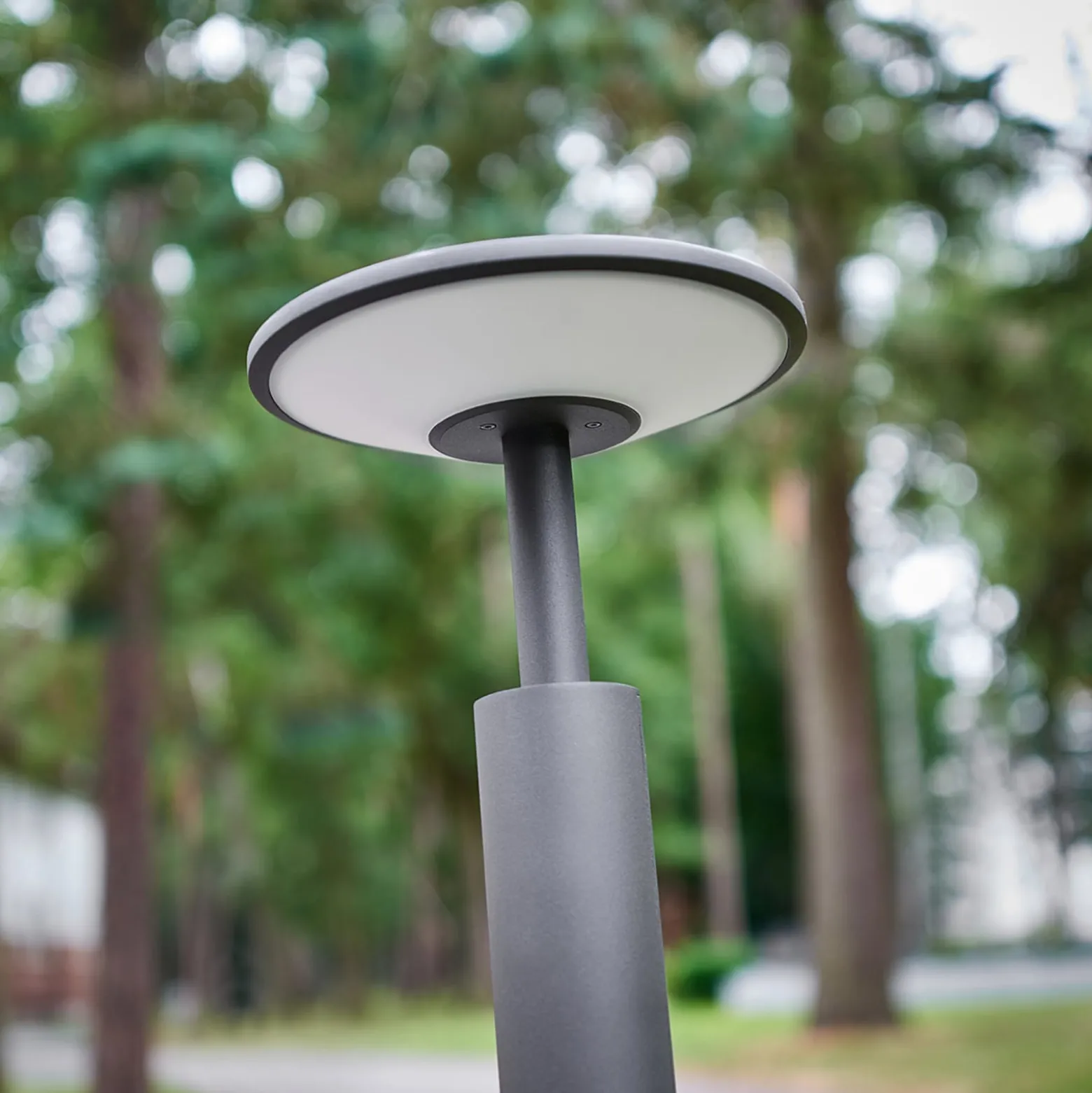 Lucande LED-Wegeleuchte Fenia, 100 cm, anthrazit, IP65