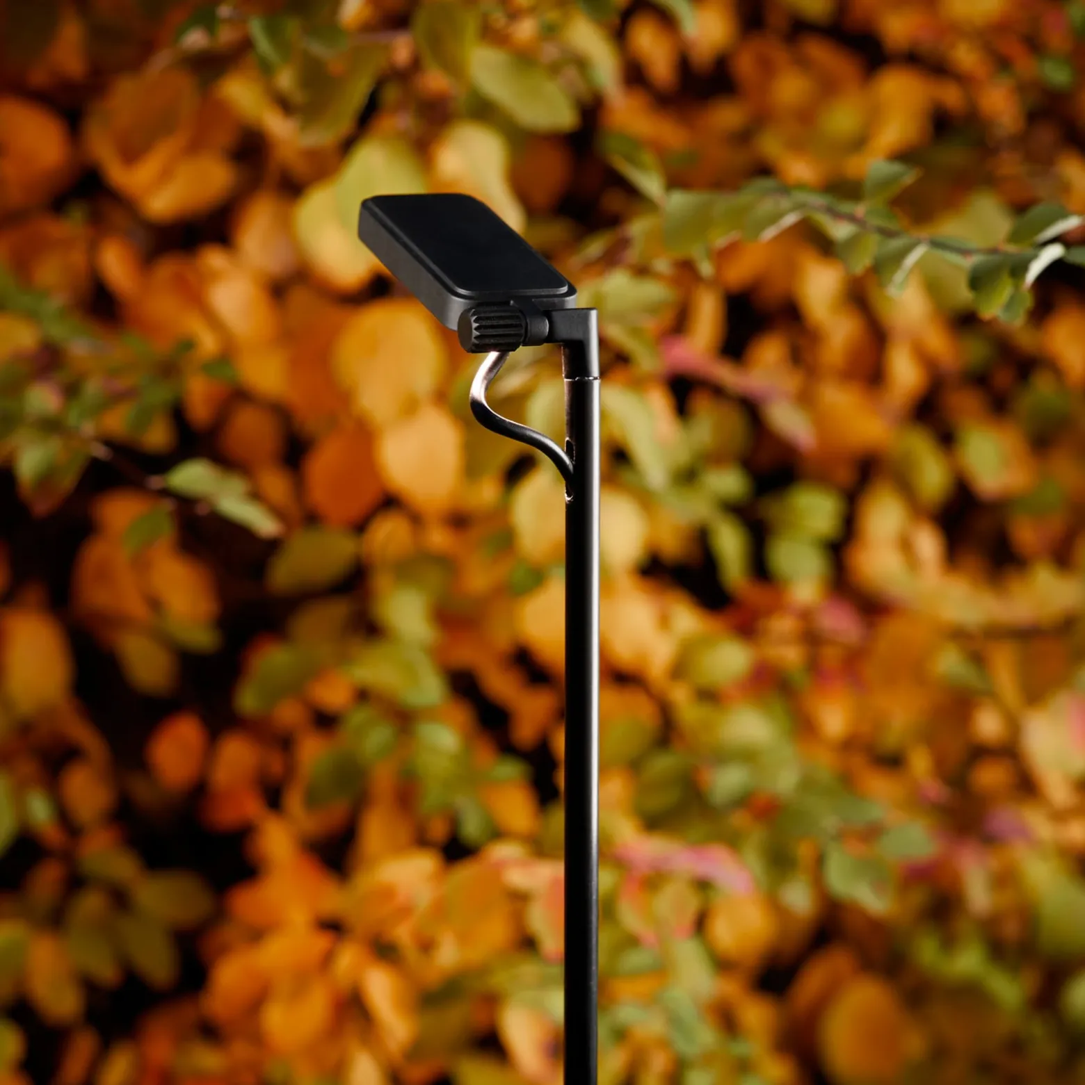 Luceplan LED-Wegelampe Flia, 120cm hoch, schwarz, Kunststoff