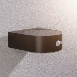 Paulmann Eileen Solar-Außenwandleuchte mit Sensor