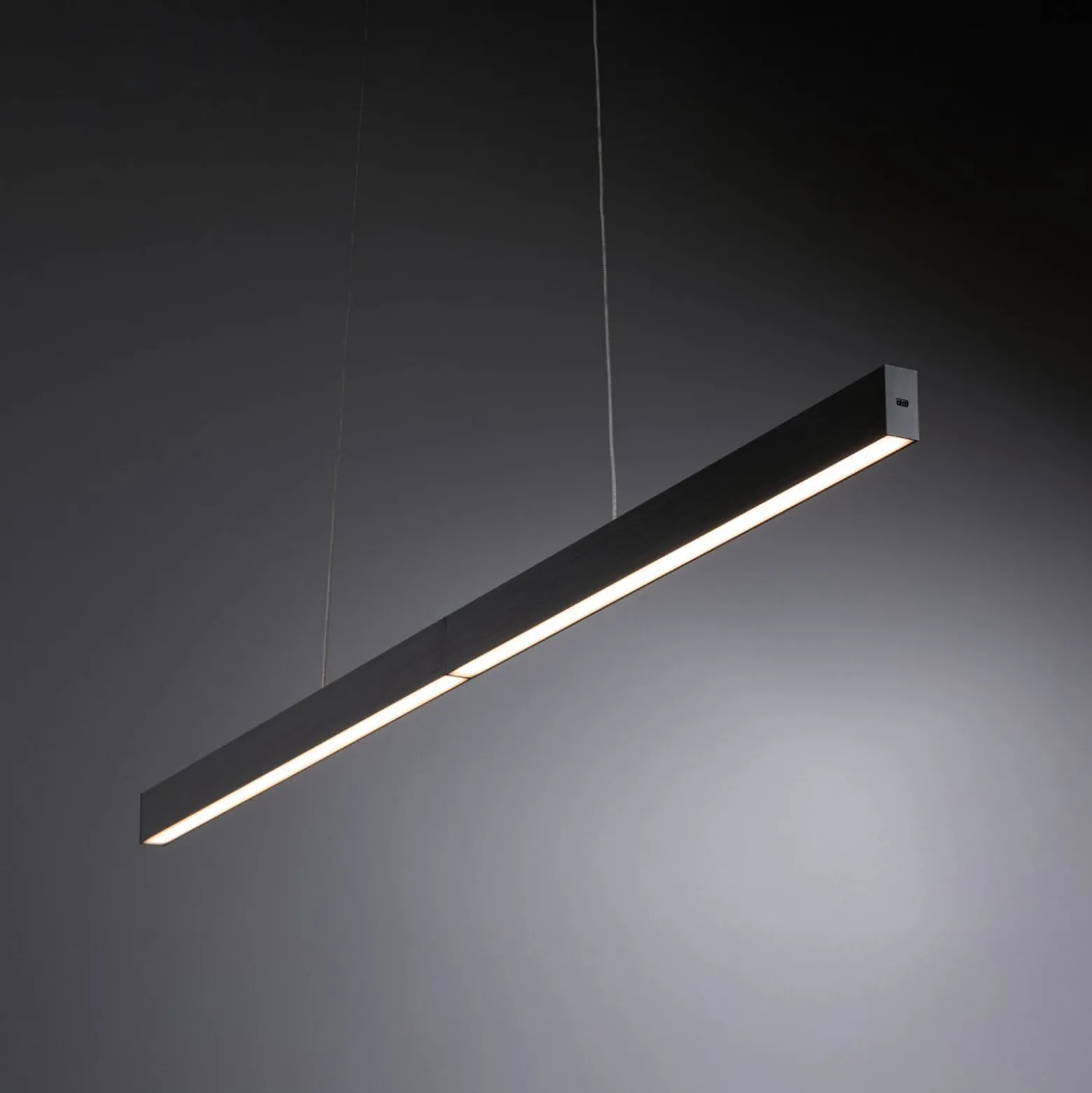 Paulmann LED-Hängelampe Aptare, schwarz, Sensor, dimmbar