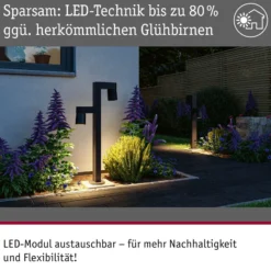 Paulmann LED-Wegeleuchte Kimu 2, anthrazit, 2-fl., 3.000 K