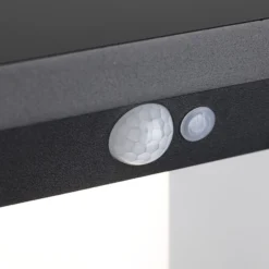Paulmann Marisol LED-Solar-Außenwandleuchte Sensor
