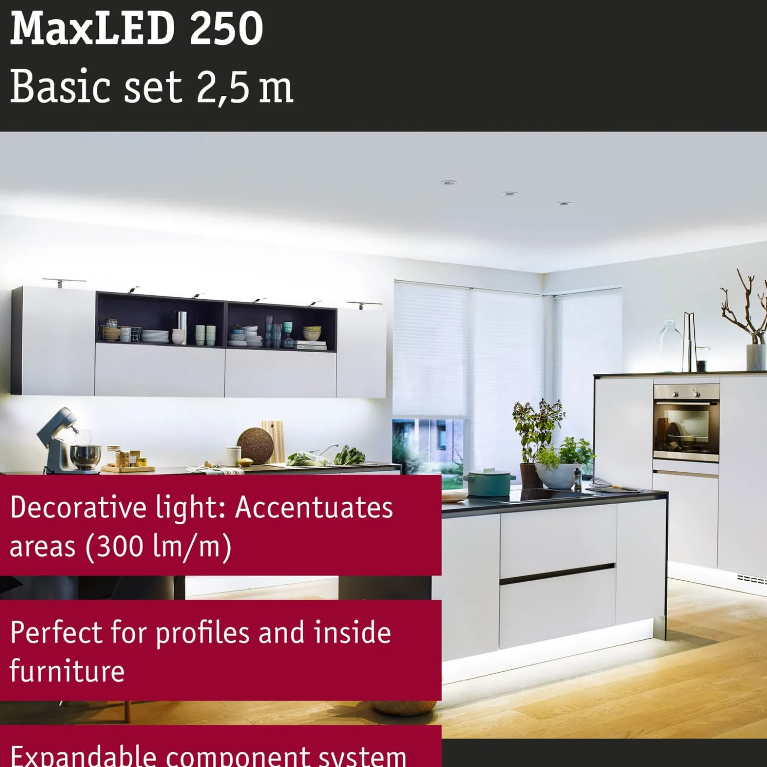 Paulmann MaxLED 250 Strip IP20 tageslicht 2,5m
