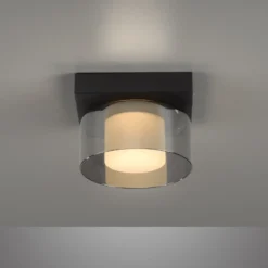 Paul Neuhaus LED-Deckenlampe Rika, Ø 15 cm, Glas, dimmbar