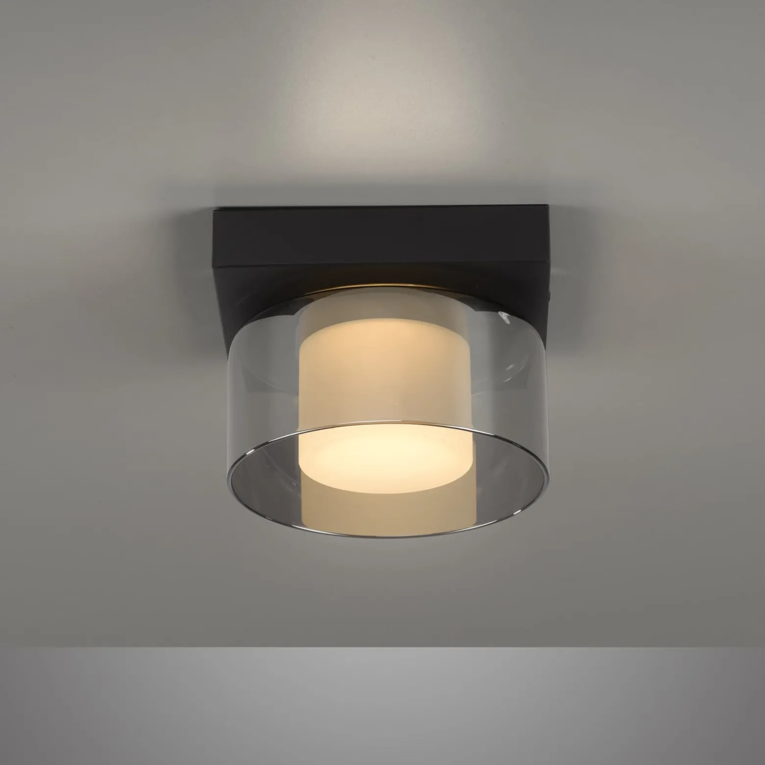Paul Neuhaus LED-Deckenlampe Rika, Ø 15 cm, Glas, dimmbar