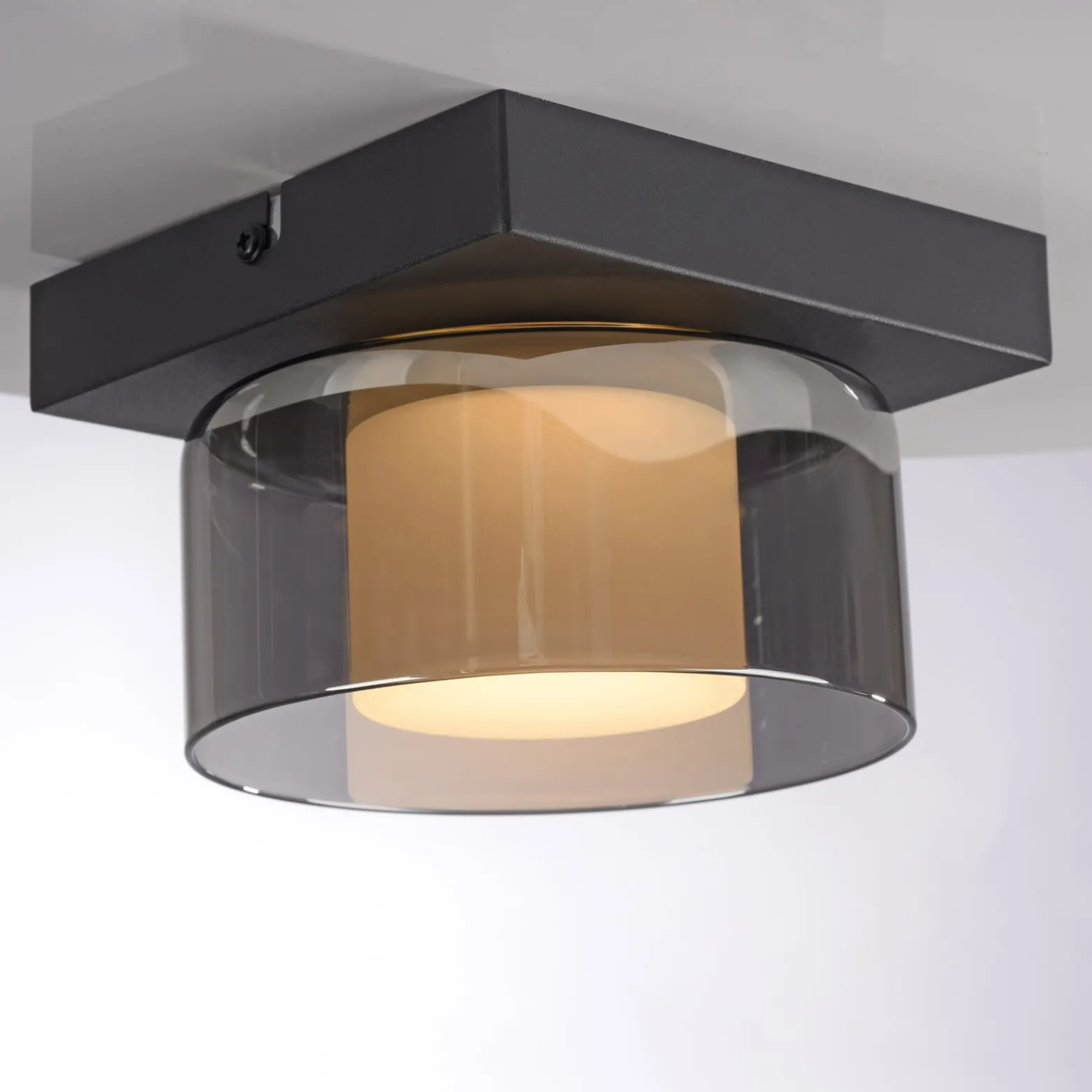 Paul Neuhaus LED-Deckenlampe Rika, Ø 15 cm, Glas, dimmbar