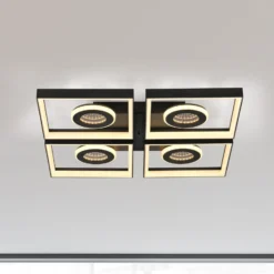 Paul Neuhaus LED-Deckenlampe Traforo, 53 cm, CCT, dimmbar