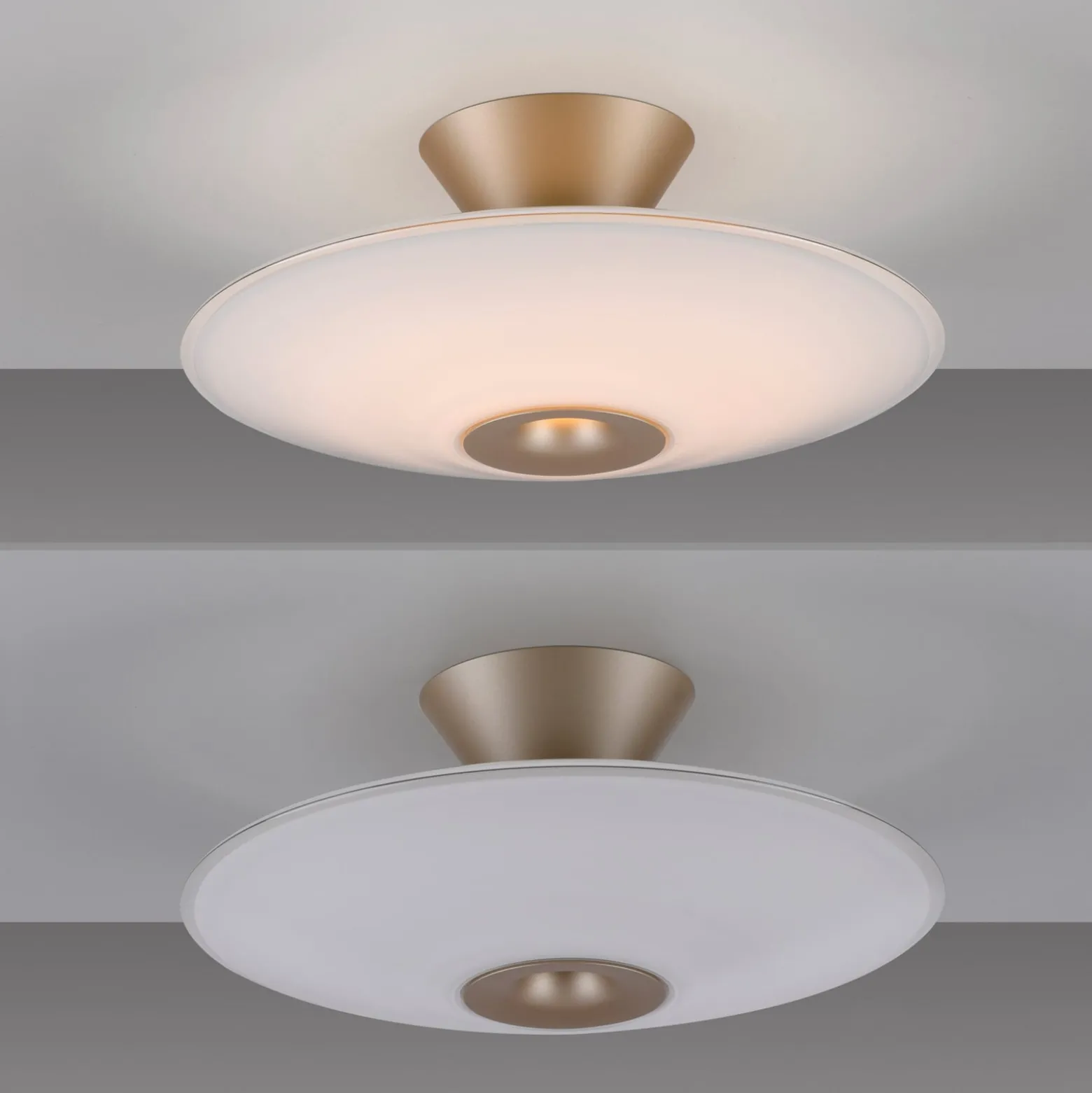Paul Neuhaus LED-Deckenlampe Elipsa, weiß/bronze, Ø 35 cm