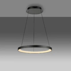 Paul Neuhaus LED-Hängelampe Hoop, schwarz, Ø 57 cm, dimmbar