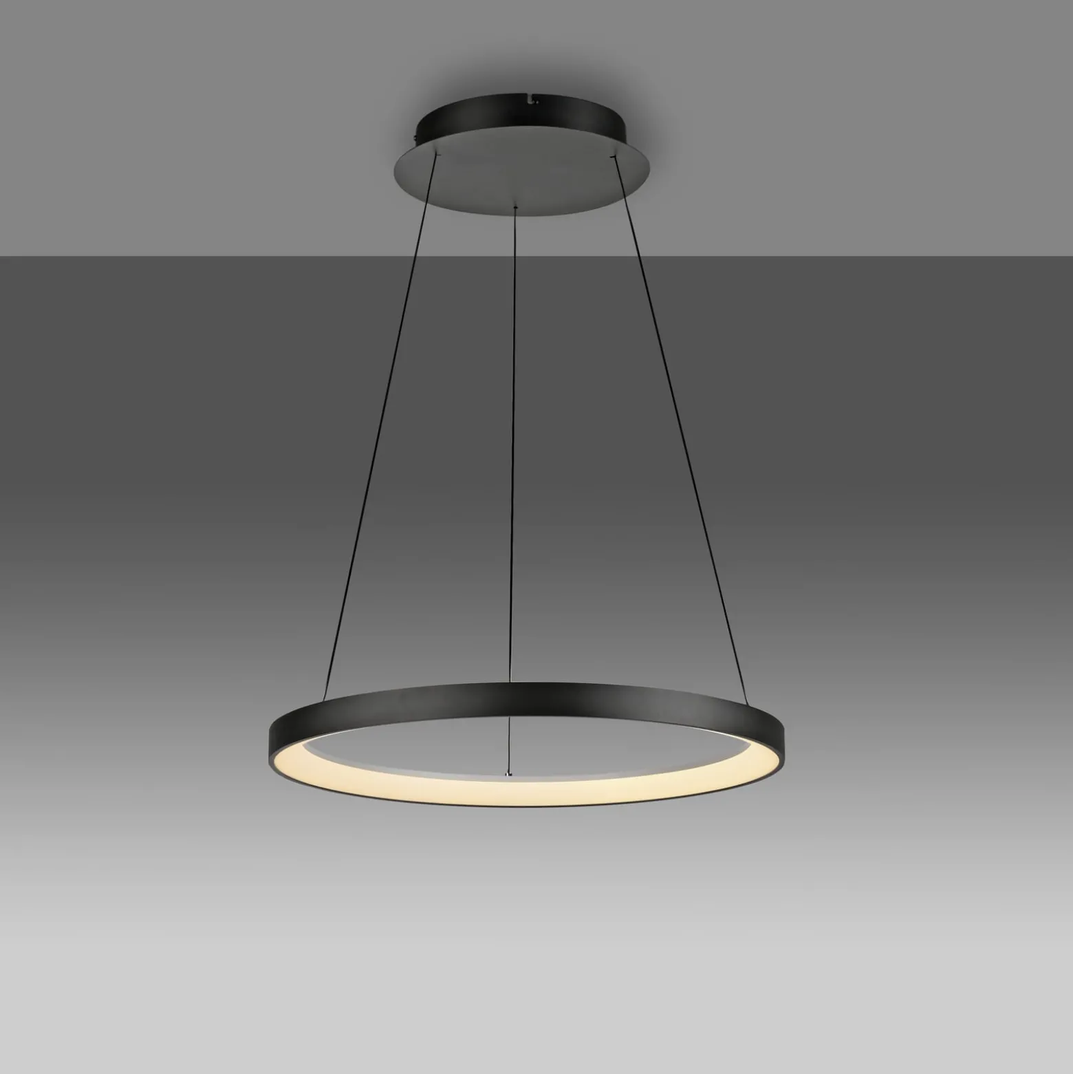Paul Neuhaus LED-Hängelampe Hoop, schwarz, Ø 57 cm, dimmbar