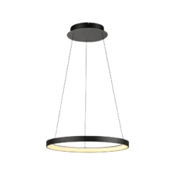Paul Neuhaus LED-Hängelampe Hoop, schwarz, Ø 57 cm, dimmbar