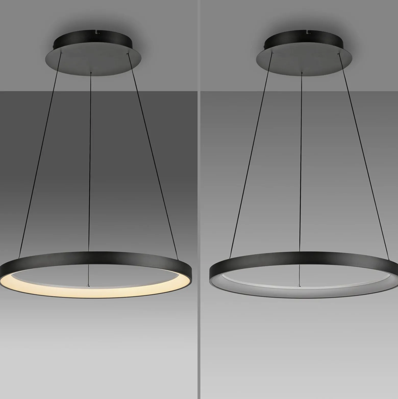 Paul Neuhaus LED-Hängelampe Hoop, schwarz, Ø 57 cm, dimmbar