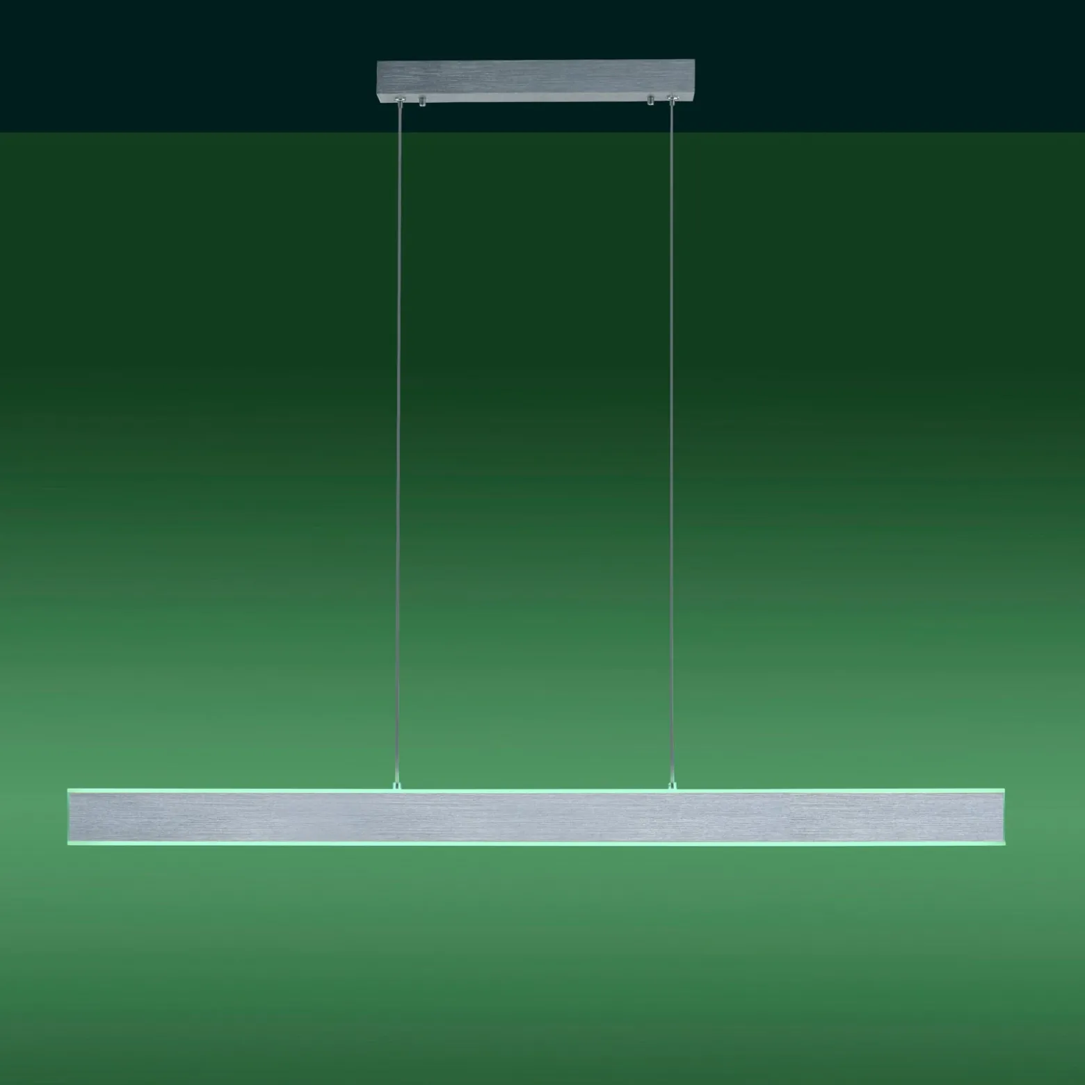 Paul Neuhaus Q-Adriana LED-Hängeleuchte up/down