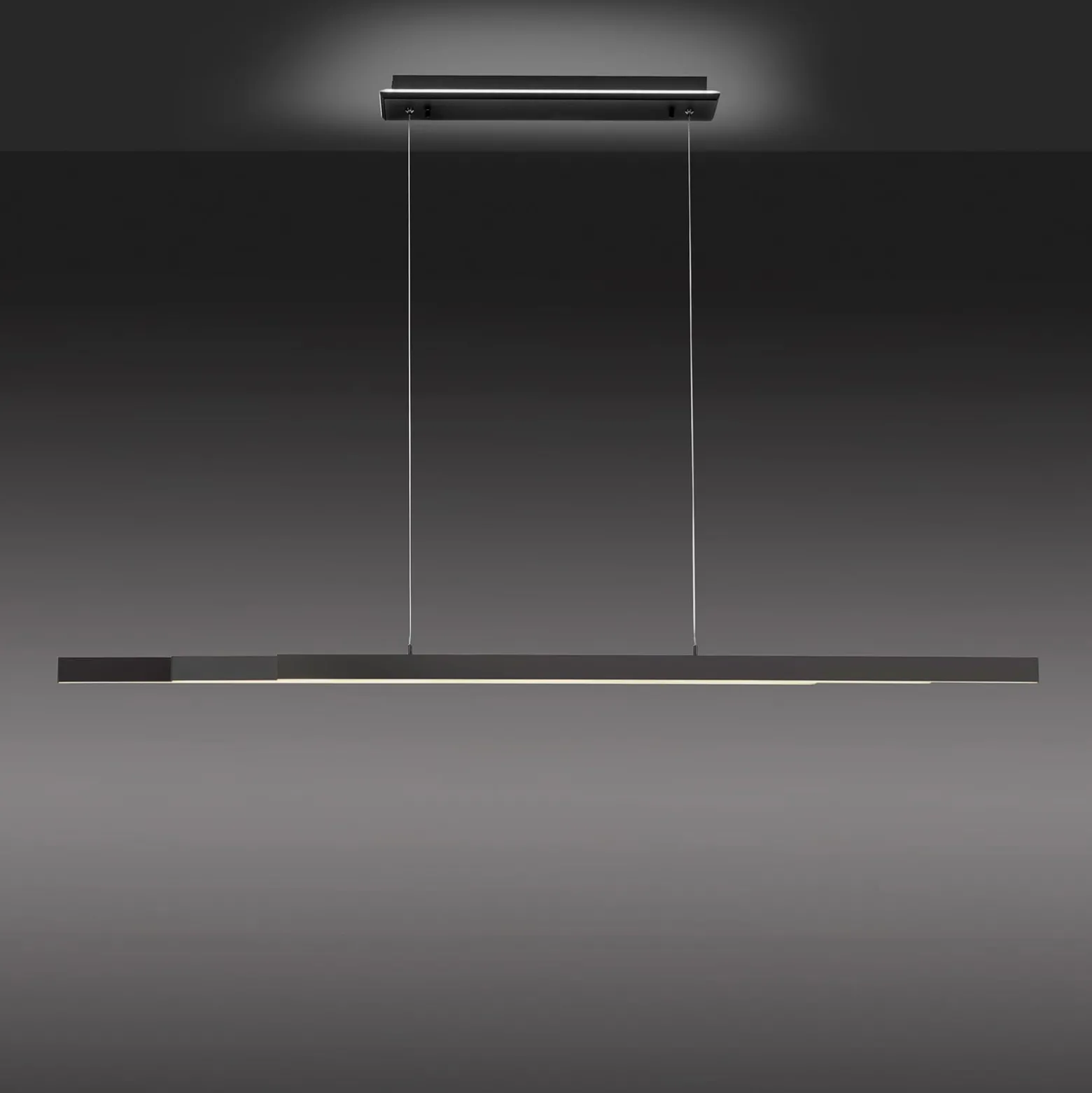 Paul Neuhaus Q-ARIAN LED-Pendelleuchte, anthrazit