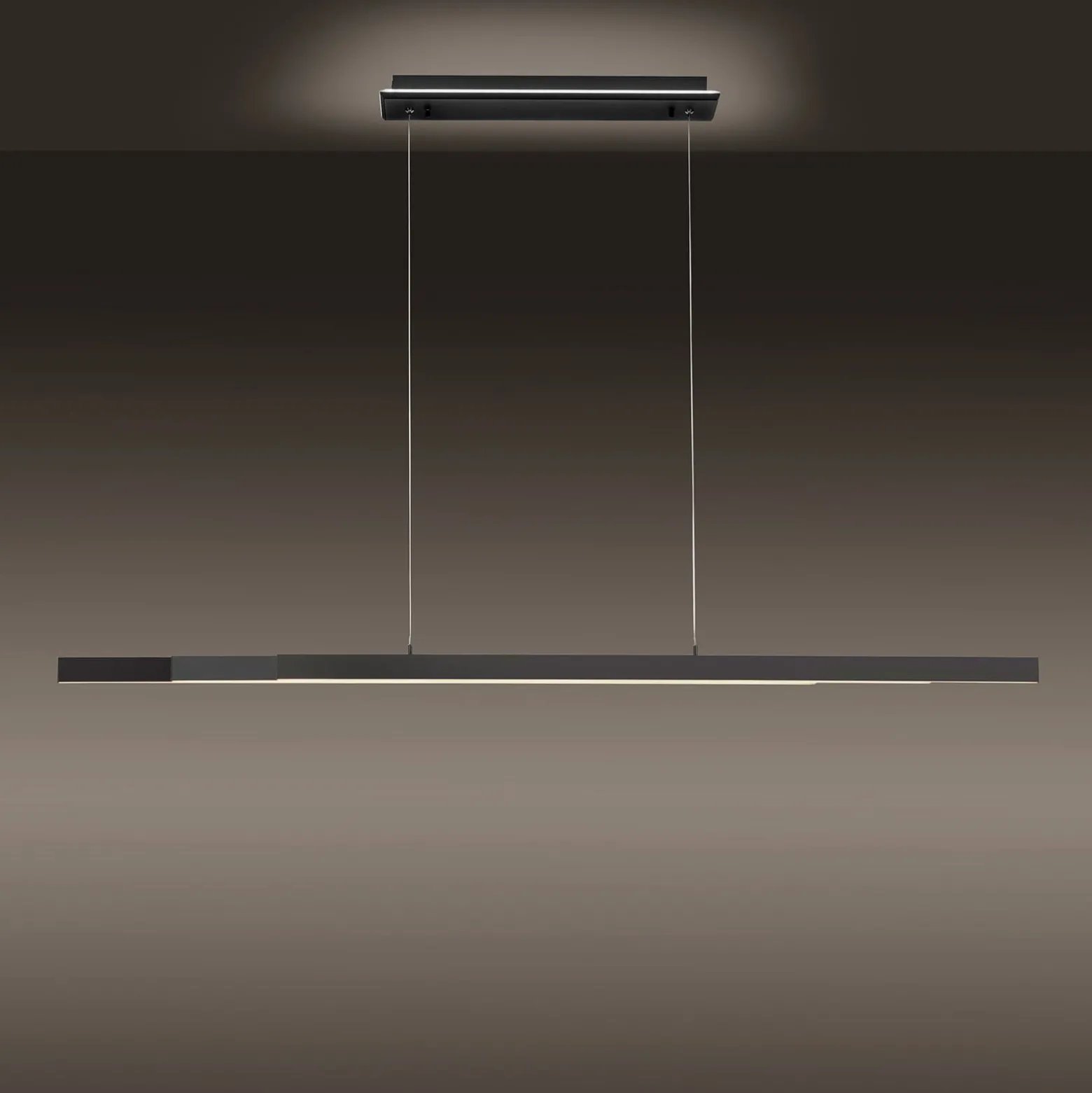 Paul Neuhaus Q-ARIAN LED-Pendelleuchte, anthrazit