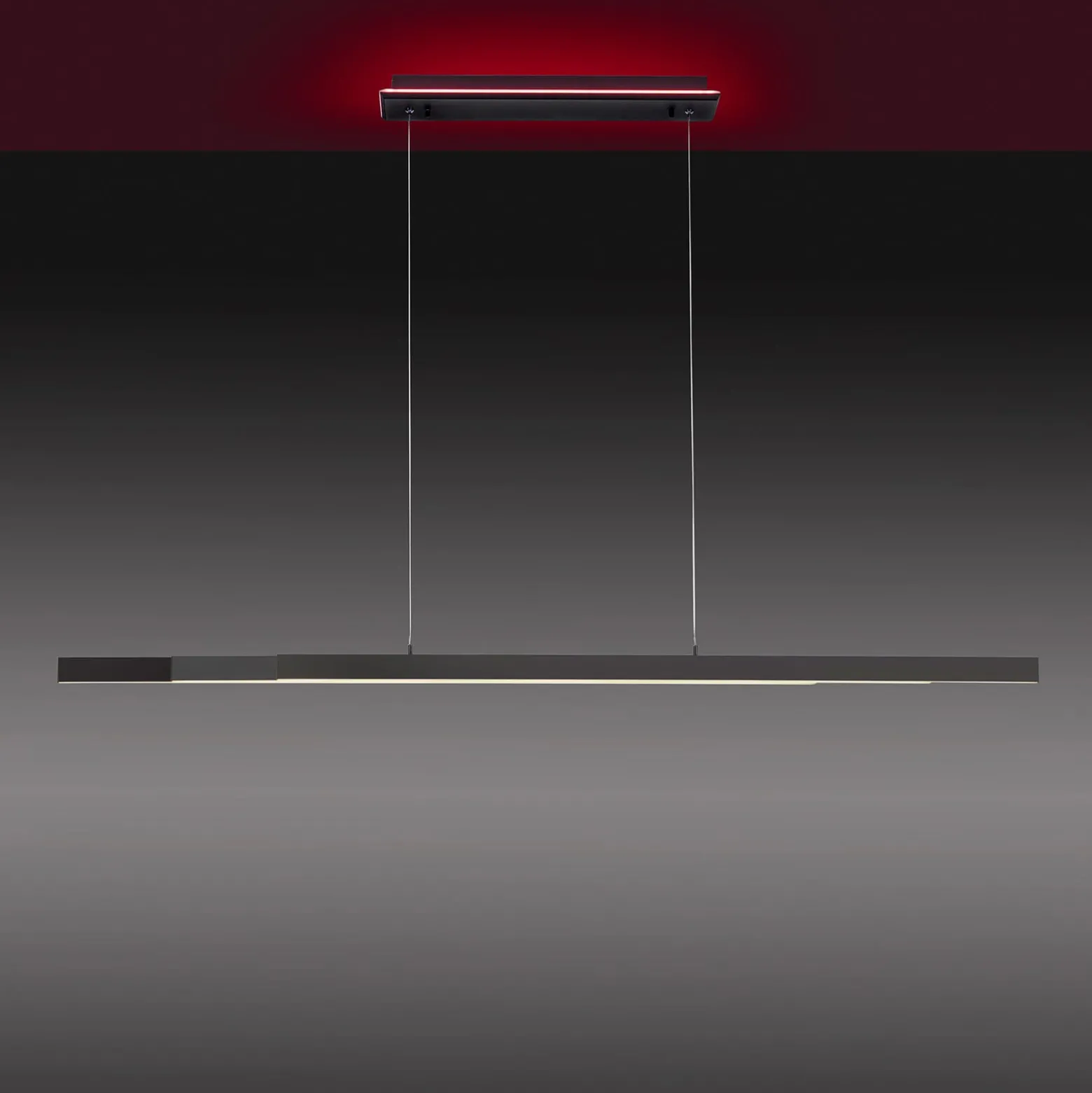 Paul Neuhaus Q-ARIAN LED-Pendelleuchte, anthrazit