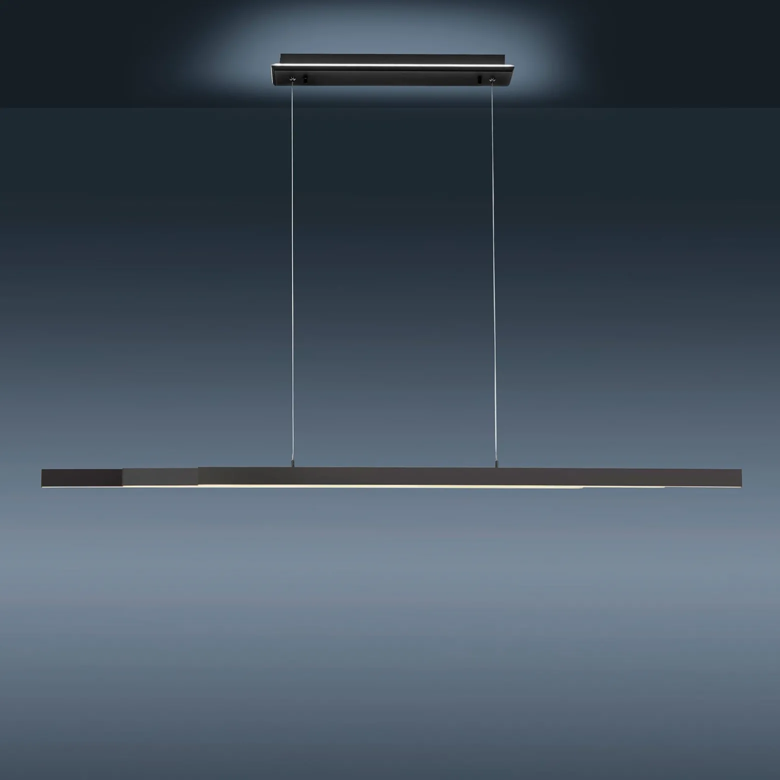 Paul Neuhaus Q-ARIAN LED-Pendelleuchte, anthrazit