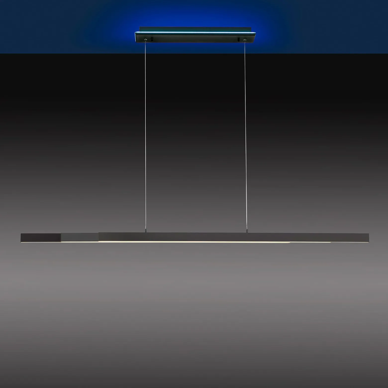 Paul Neuhaus Q-ARIAN LED-Pendelleuchte, anthrazit