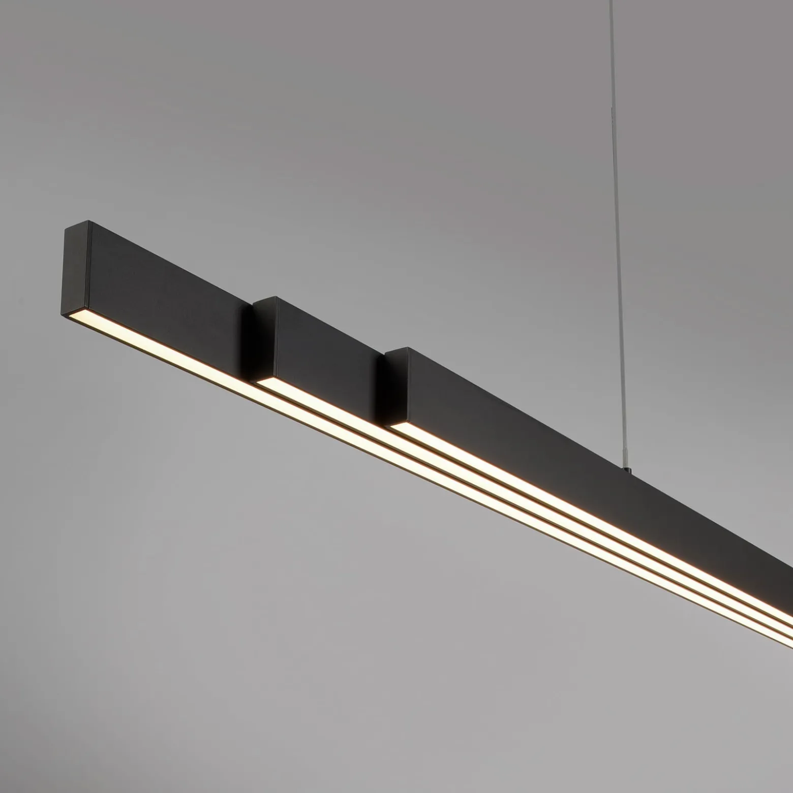 Paul Neuhaus Q-ARIAN LED-Pendelleuchte, anthrazit