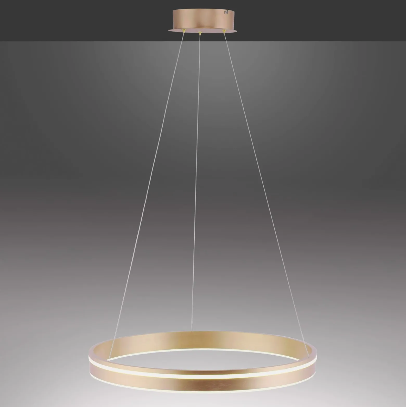 Paul Neuhaus Q-VITO LED-Pendelleuchte,1 Ring