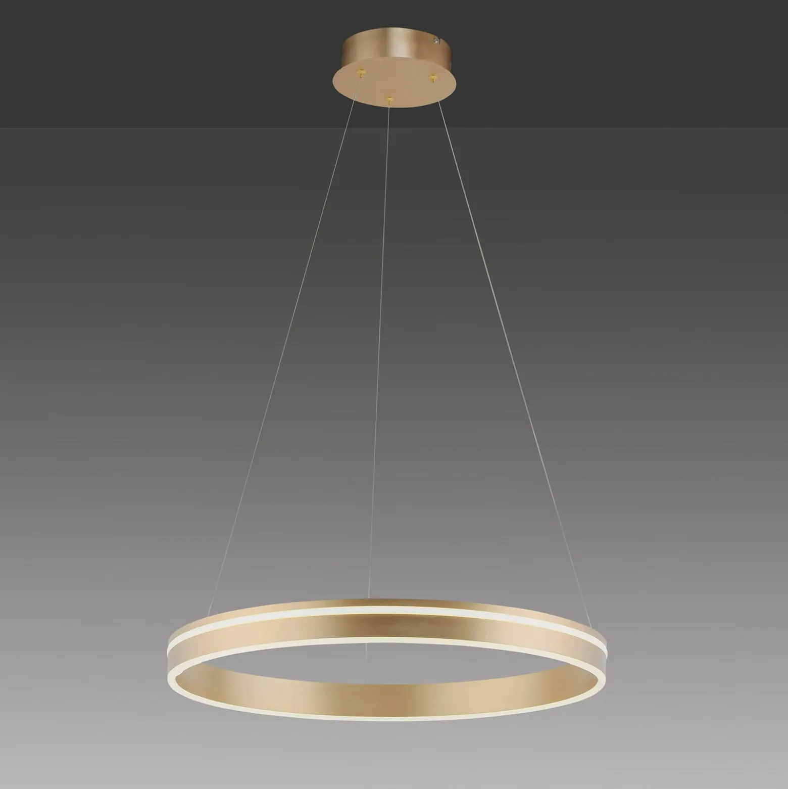 Paul Neuhaus Q-VITO LED-Pendelleuchte,1 Ring