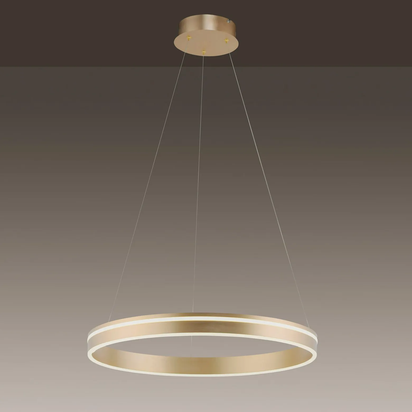 Paul Neuhaus Q-VITO LED-Pendelleuchte,1 Ring
