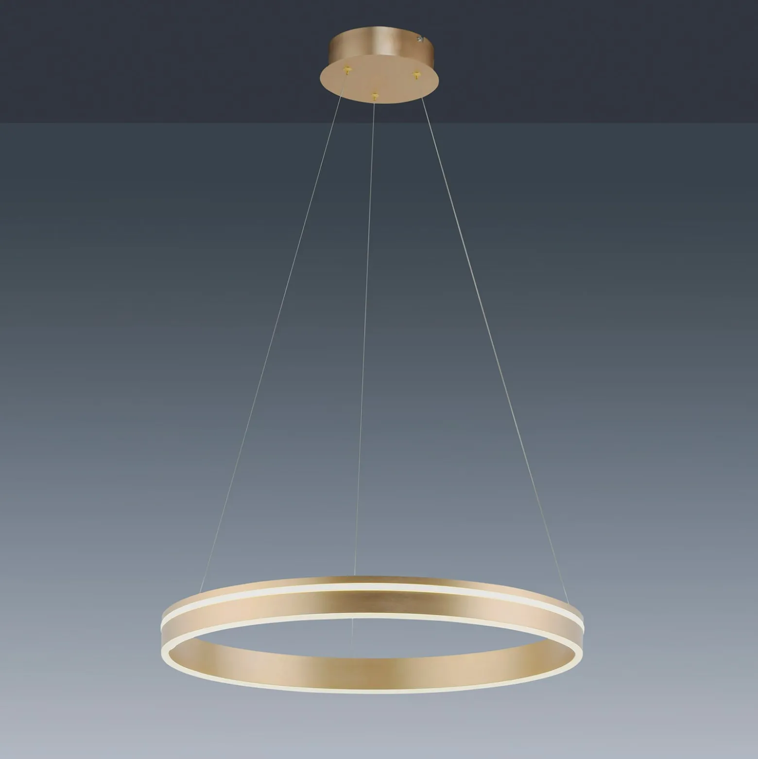 Paul Neuhaus Q-VITO LED-Pendelleuchte,1 Ring