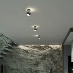 Puk! 80 Turn Up/Downlight Linse matt anthrazit