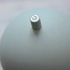 SCHÖNER WOHNEN LED-Akku-Stehlampe Bellis, Frühlingserwachen