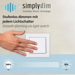 SCHÖNER WOHNEN LED-Deckenleuchte Sia, rauchgrau 3.000 K